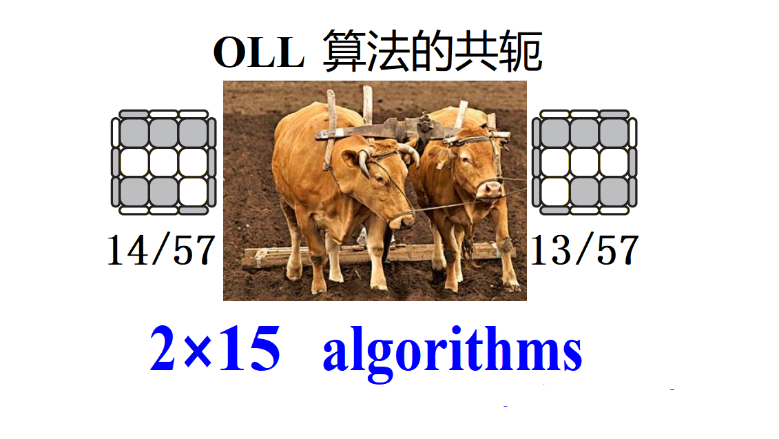 OLL-Math-13-14-English-.png