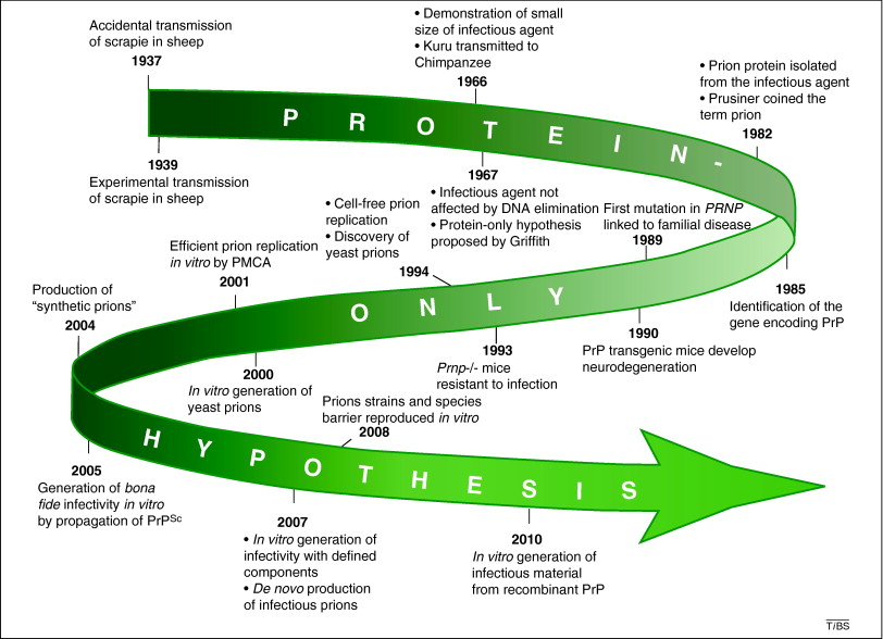 Prion hypothesis - the end of the controversy.png