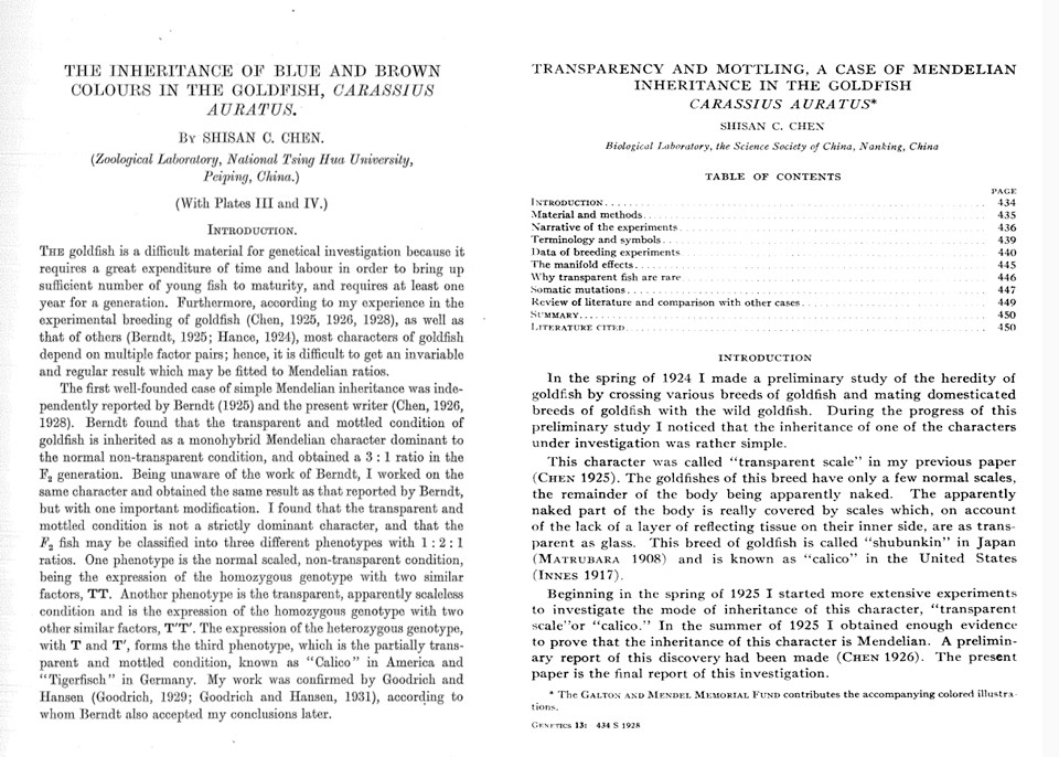 图1-3  陈桢：Genetics上发表的金鱼研究论文（左1928，右1934）.jpg