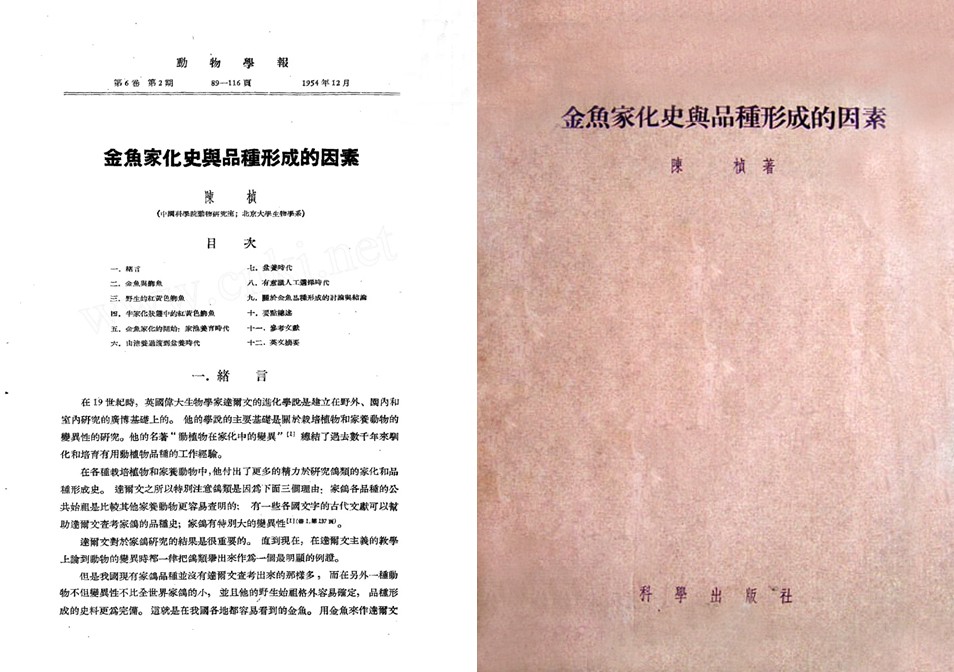 1954年-陈桢：金鱼家化史与品种形成的因素书影.jpg