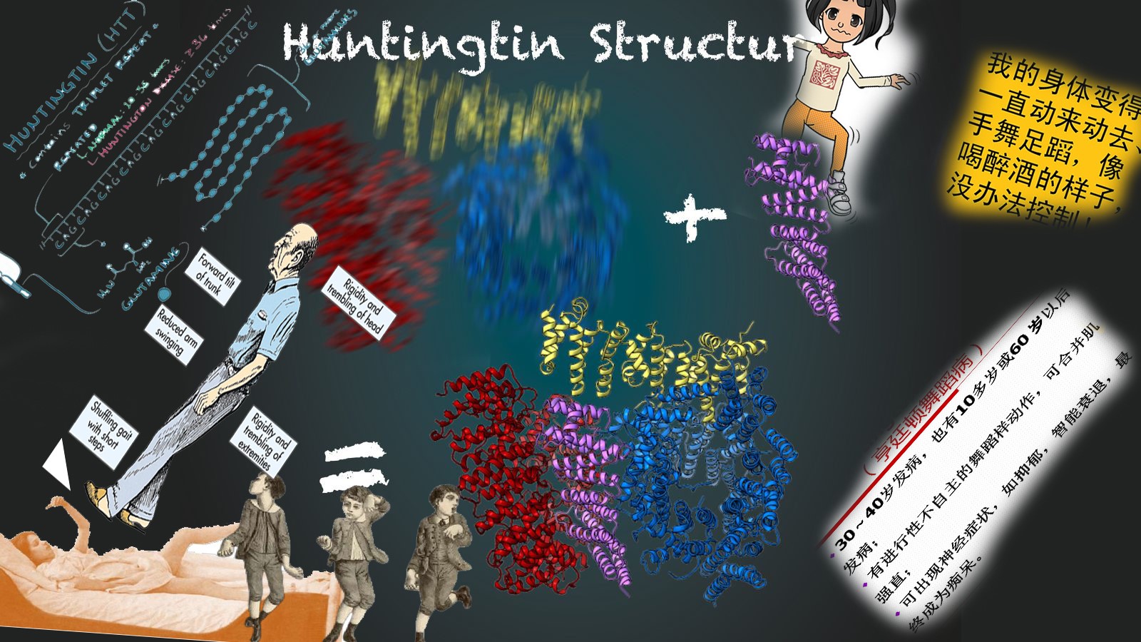 Huntingtin structure.jpg