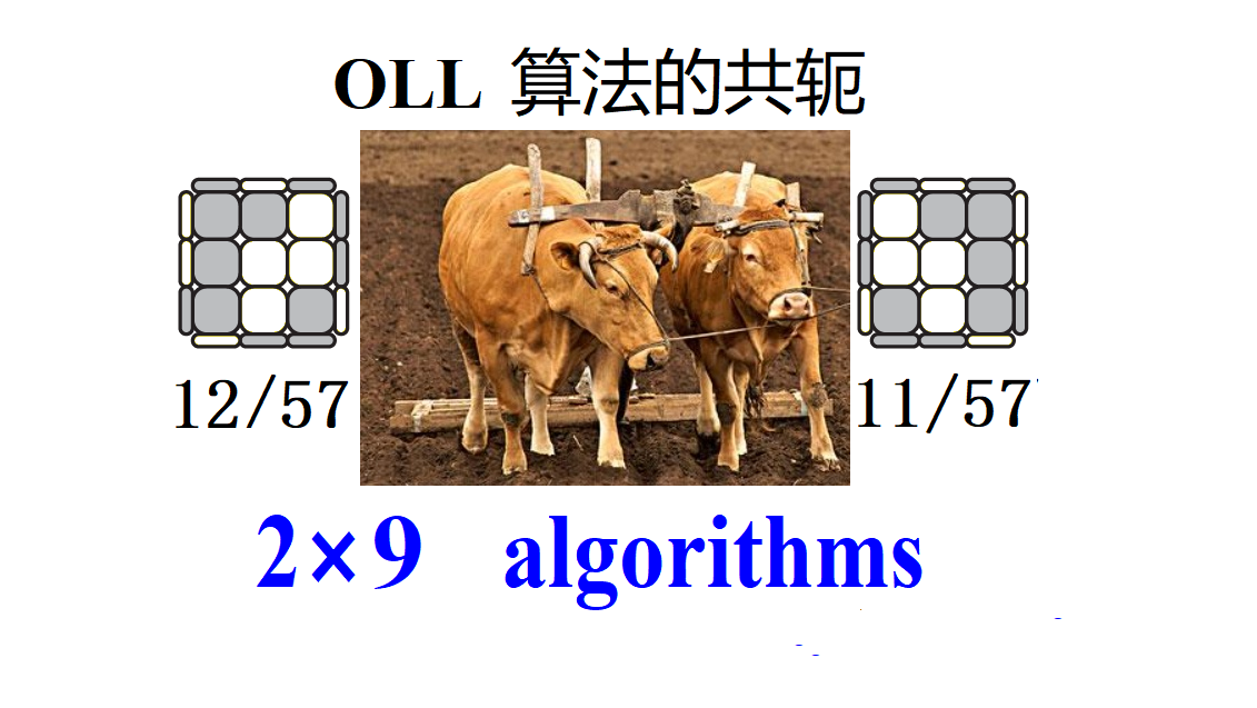 OLL-Math-11-12-English-文.png