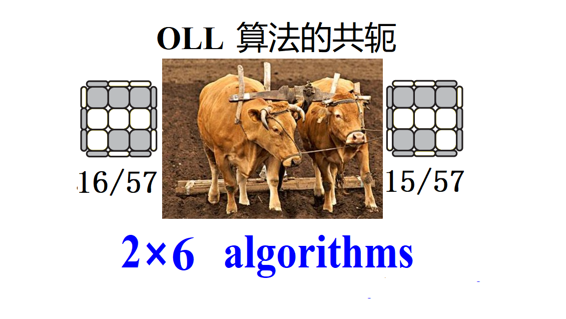 OLL-Math-15-16-English-文.png