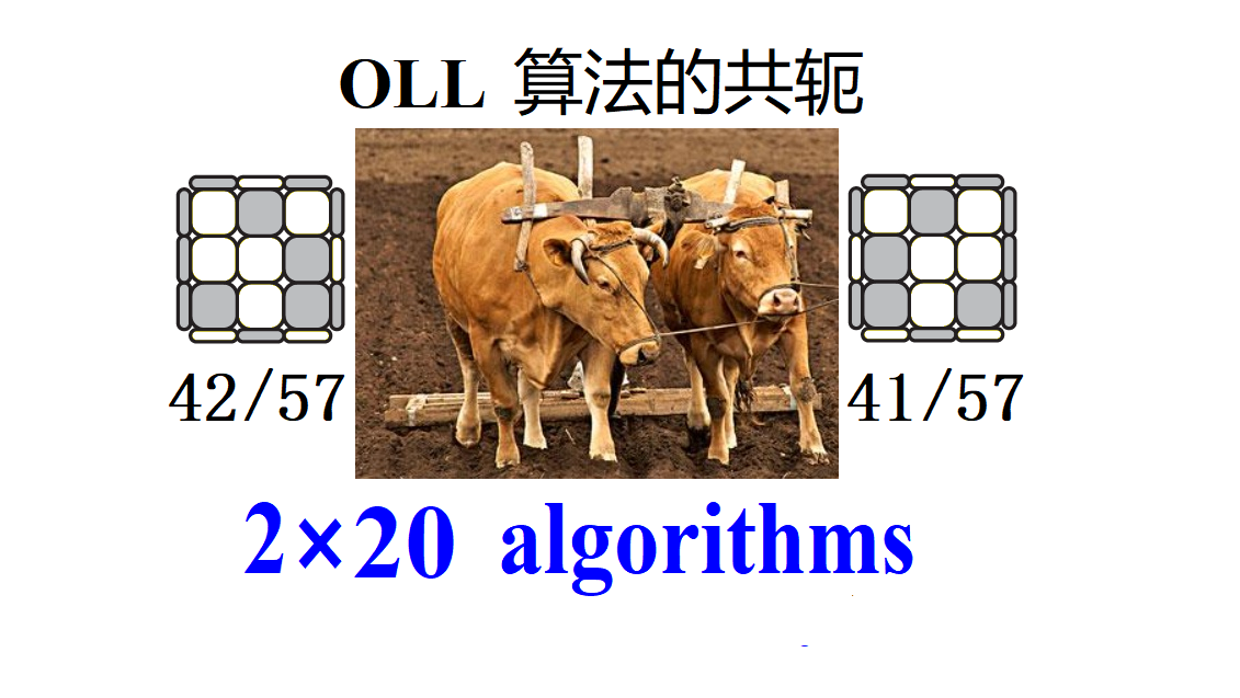 OLL-Math-41-42-English-文.png