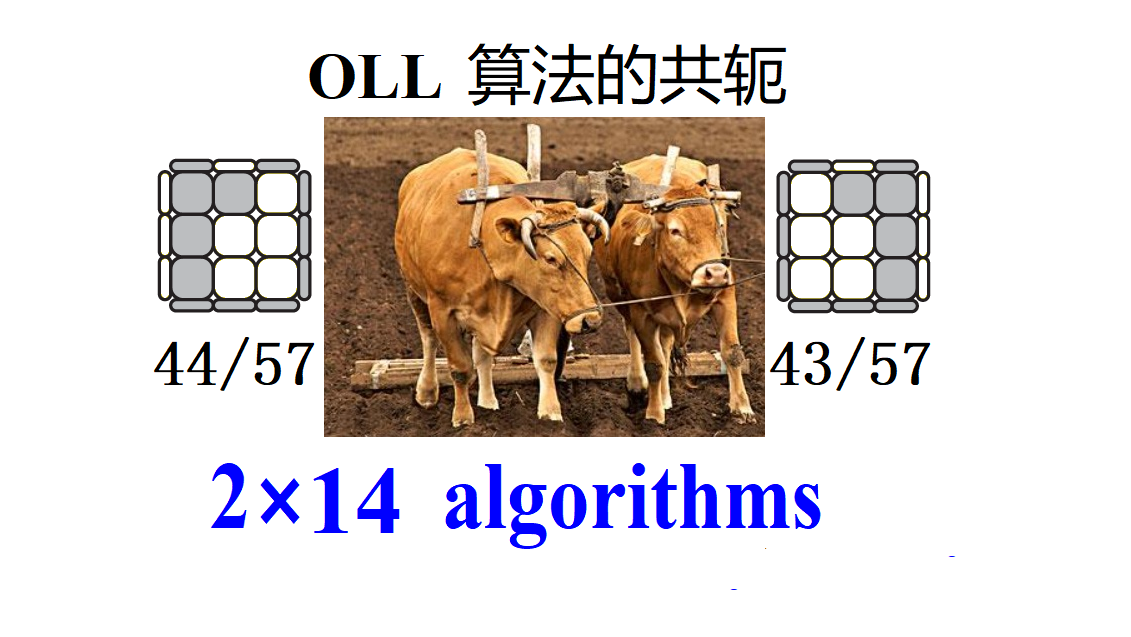 OLL-Math-43-44-English-文.png