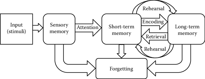 memory model.png